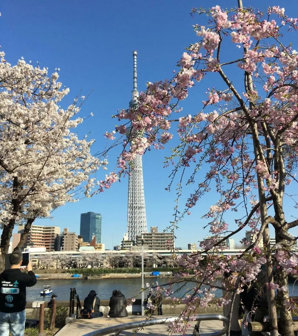 传统日式旅馆 東京都 纳卡大雅旅馆酒店