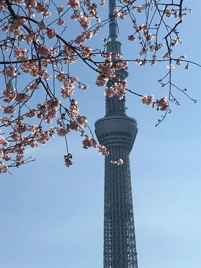 東京都 纳卡大雅旅馆酒店